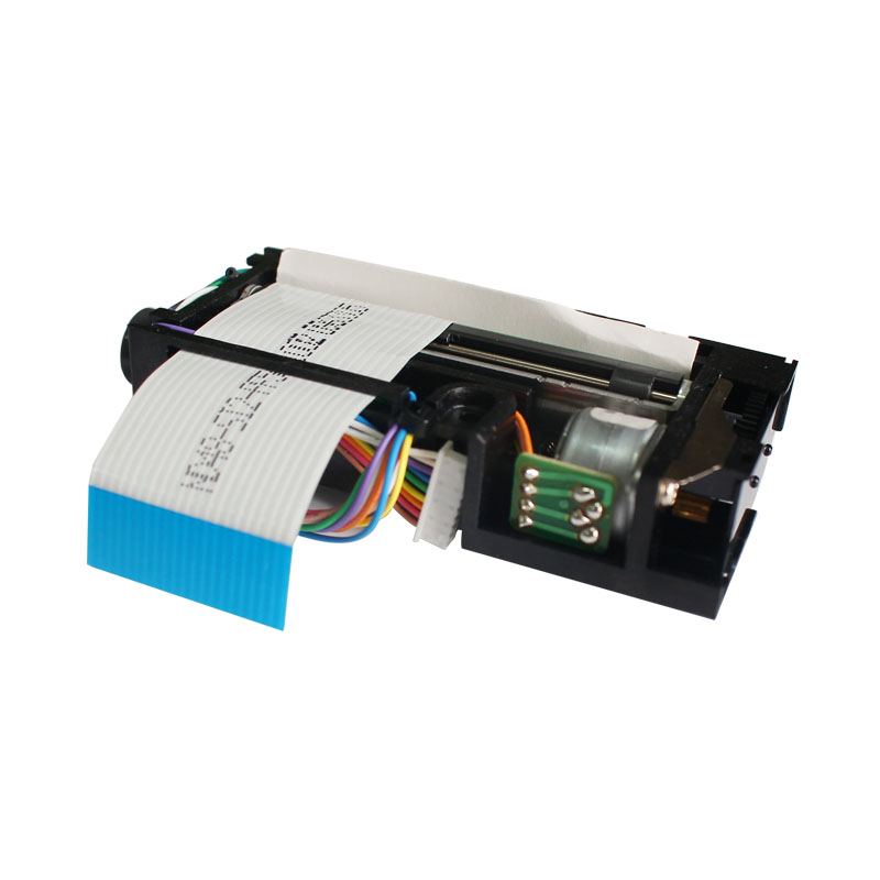 Original Printhead for Mettler Toledo bTwin 3680C LTPH245D-C384-E H245 Scale